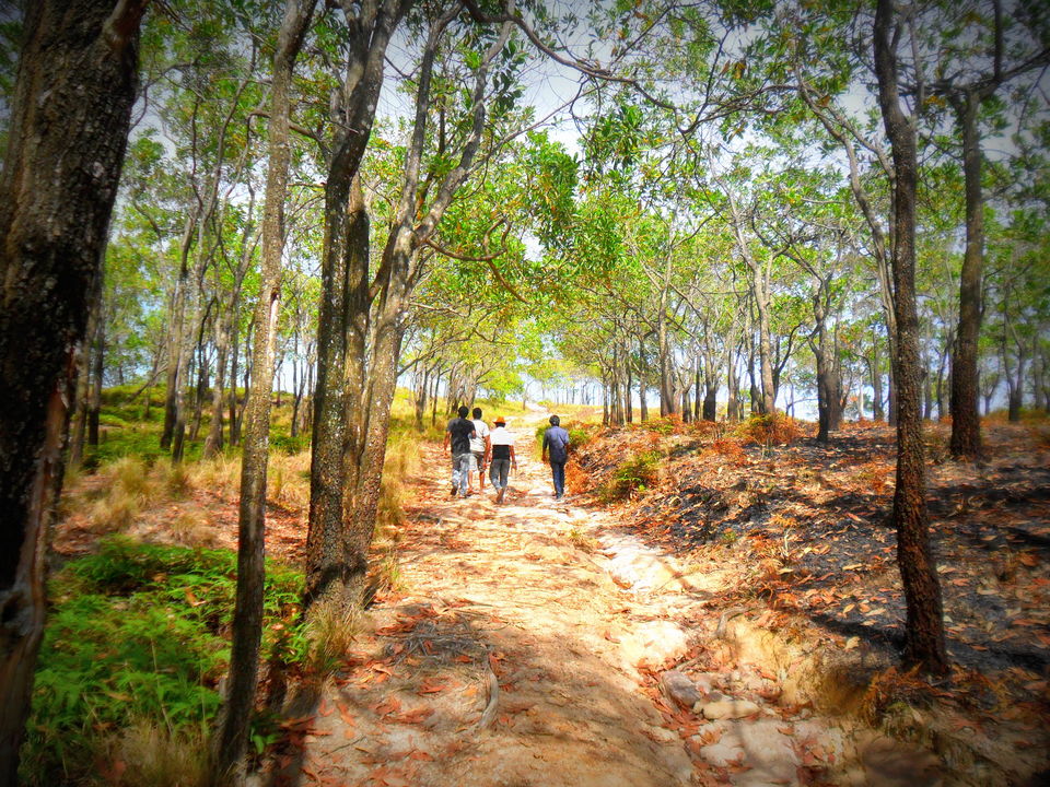 Photo of Journey To Bambaragala, Badulla, Sri Lanka. by Krishan Weerakoon
