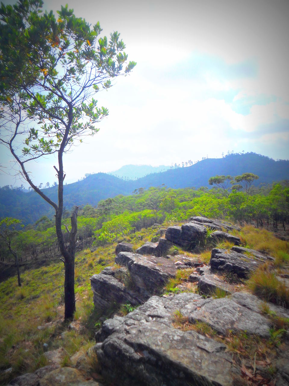Photo of Journey To Bambaragala, Badulla, Sri Lanka. by Krishan Weerakoon