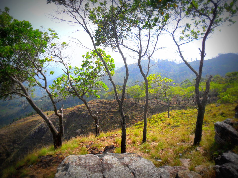 Photo of Journey To Bambaragala, Badulla, Sri Lanka. by Krishan Weerakoon