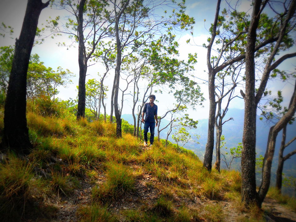 Photo of Journey To Bambaragala, Badulla, Sri Lanka. by Krishan Weerakoon