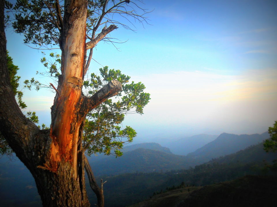 Photo of Journey To Bambaragala, Badulla, Sri Lanka. by Krishan Weerakoon