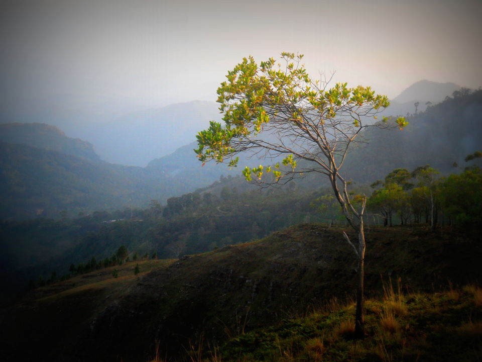 Photo of Journey To Bambaragala, Badulla, Sri Lanka. by Krishan Weerakoon