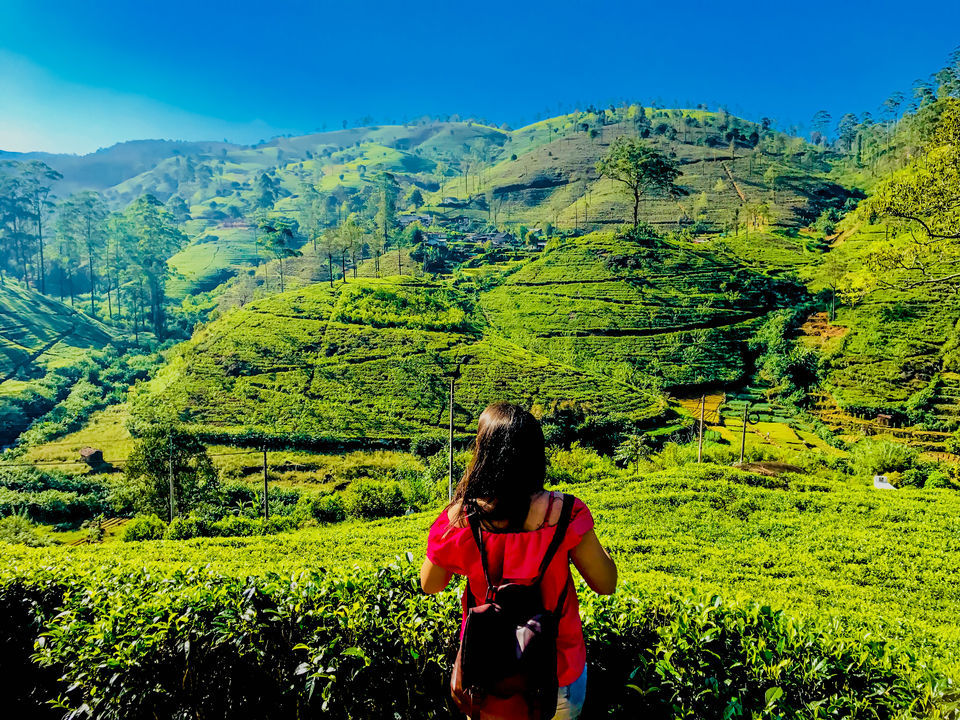 Photo of All Girls Trip to Sri Lanka! by Ashmita Sharma