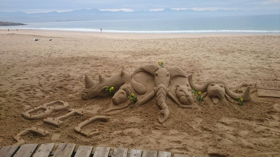 Photo of South Africa ...
Road trip on the Garden Route by Aakriti Batra