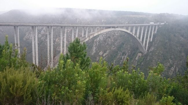 Photo of South Africa ...
Road trip on the Garden Route by Aakriti Batra