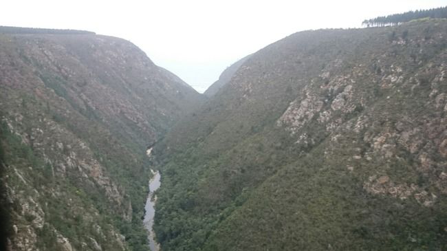 Photo of South Africa ...
Road trip on the Garden Route by Aakriti Batra