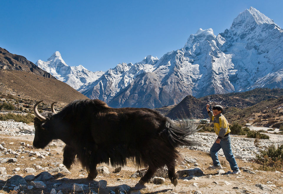 Photo of 10 reasons why trekking in Nepal is different from Indian Himalayas by Adventure-Pulse