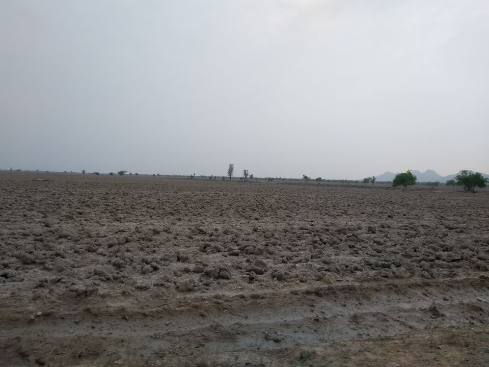 Photo of Malgarh, Rajasthan, India by Mohit Jain