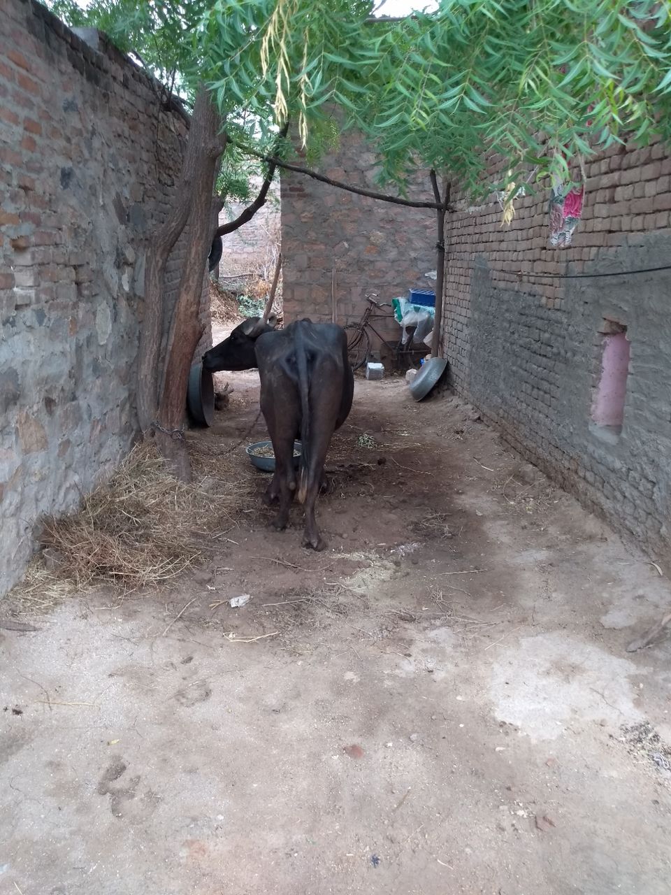 Photo of Malgarh, Rajasthan, India by Mohit Jain