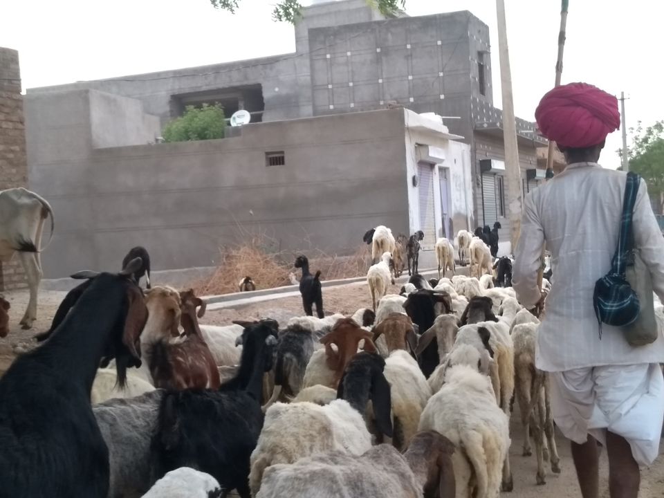 Photo of Malgarh, Rajasthan, India by Mohit Jain