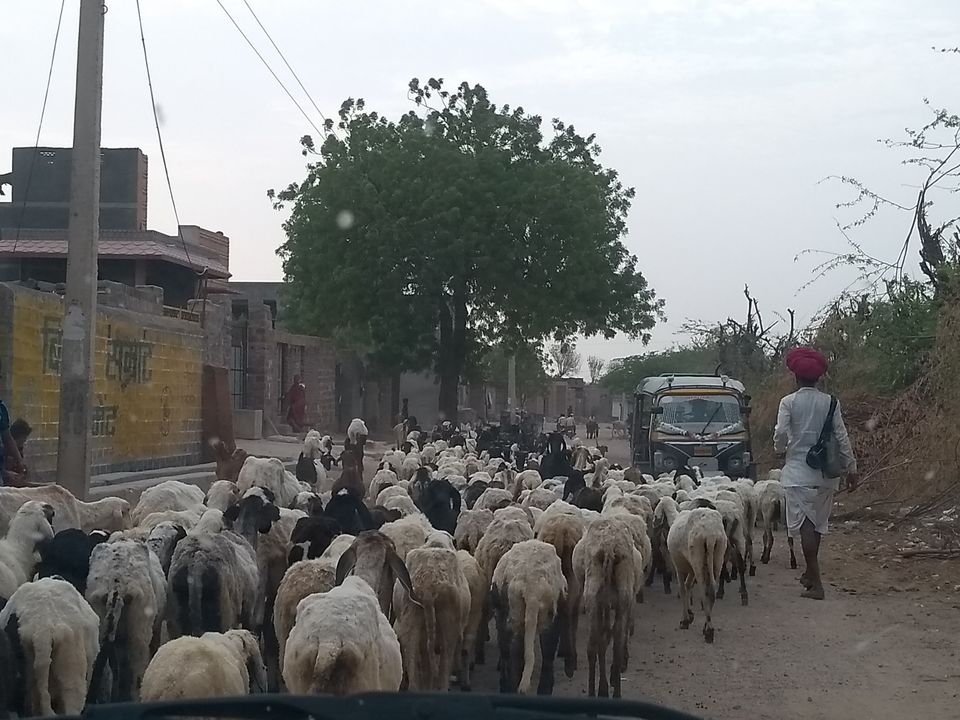 Photo of Malgarh, Rajasthan, India by Mohit Jain
