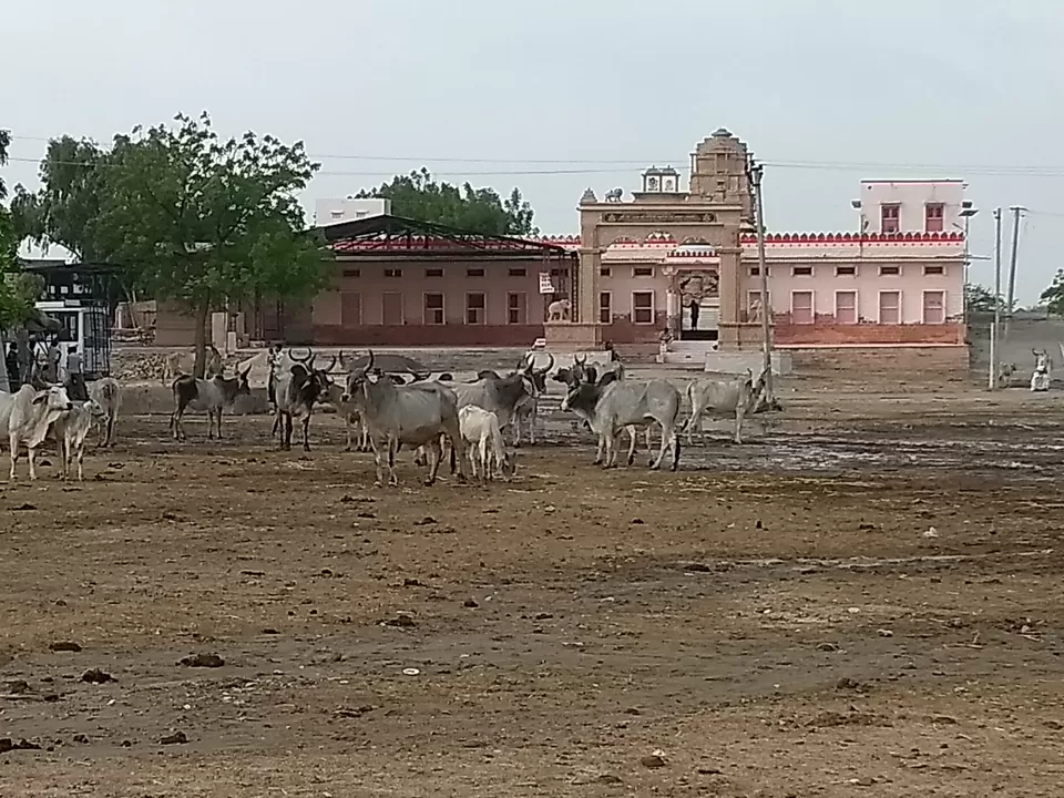 Photo of Khandap, Rajasthan, India by Mohit Jain