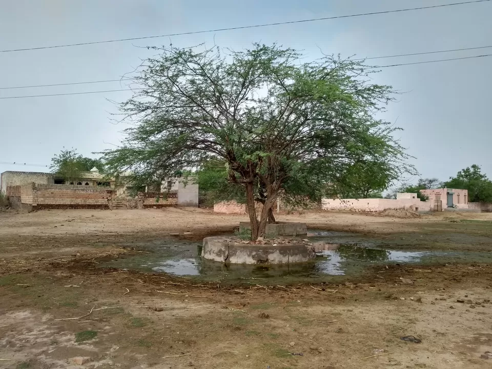 Photo of Khandap, Rajasthan, India by Mohit Jain