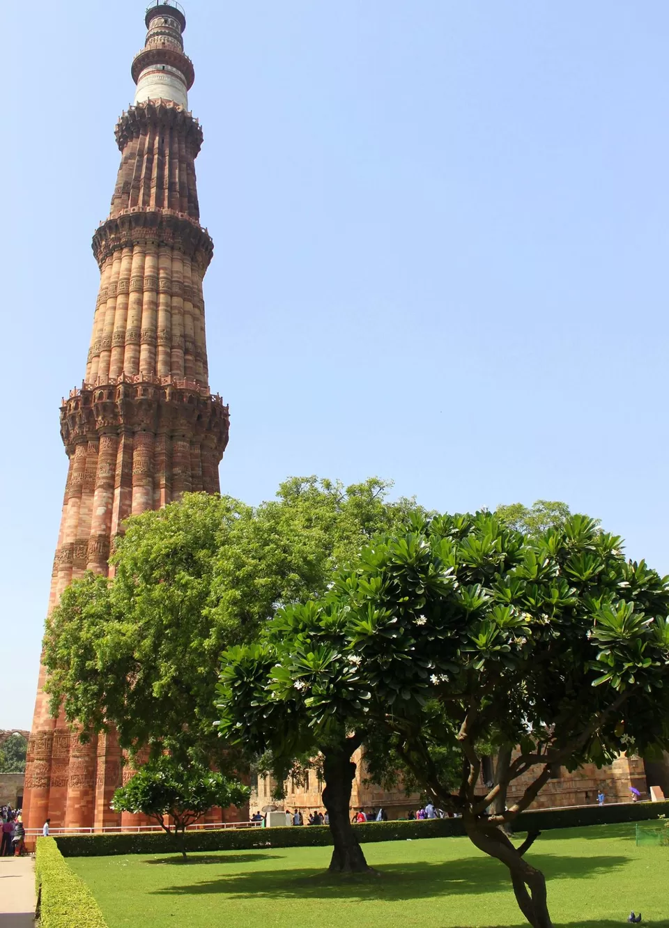 Photo of Qutb Minar , The killa by Suresh Shastri