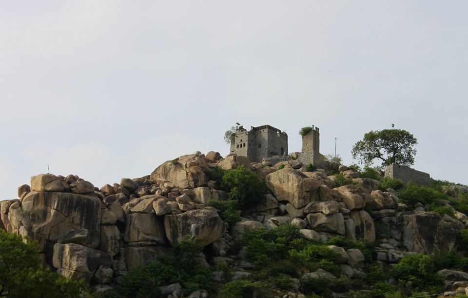 Photo of Raichur Fort – Raichur 4/8 by Suresh Shastri