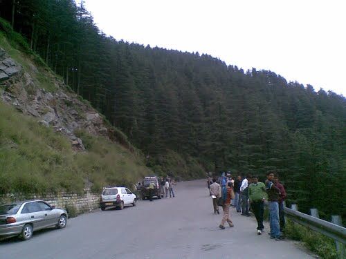 Photo of Green Valley, Shimla, Himachal Pradesh, India by Rahul Maharishi
