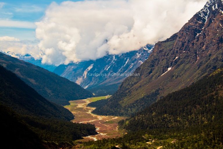 Photo of Yumthang Valley, North Sikkim, Sikkim, India by Kavipriya Adhinarayanan