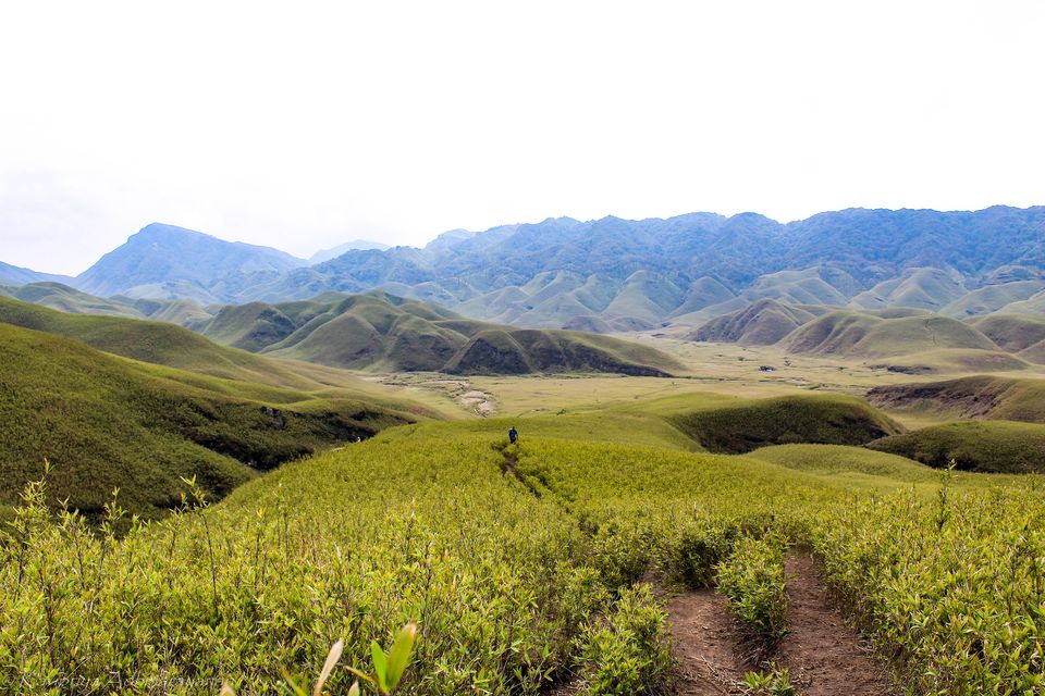 Photo of Kohima, Nagaland, India by Kavipriya Adhinarayanan