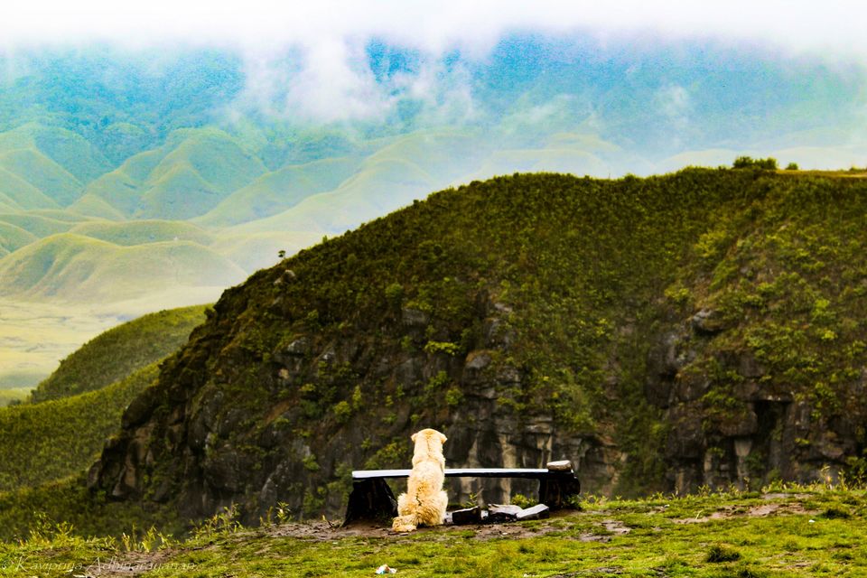 Photo of Dzükou Valley, Nagaland, India by Kavipriya Adhinarayanan