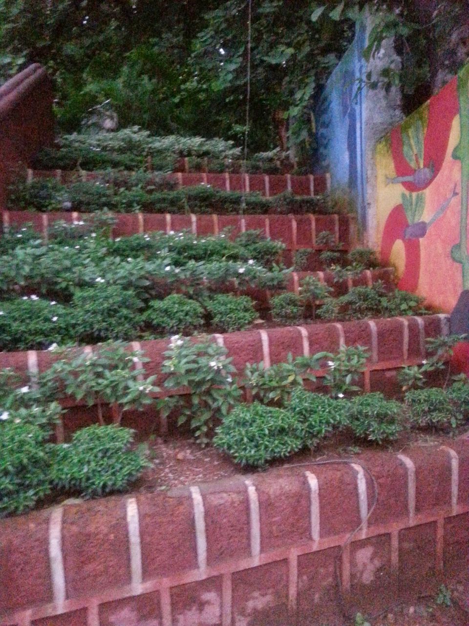 Photo of Margoa’s Glorious Steps 13/15 by Aparna Parinam