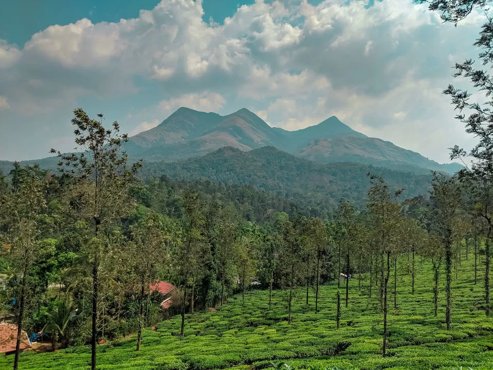 Photo of Chembra Peak, Kerala by Mouna Nanaiah
