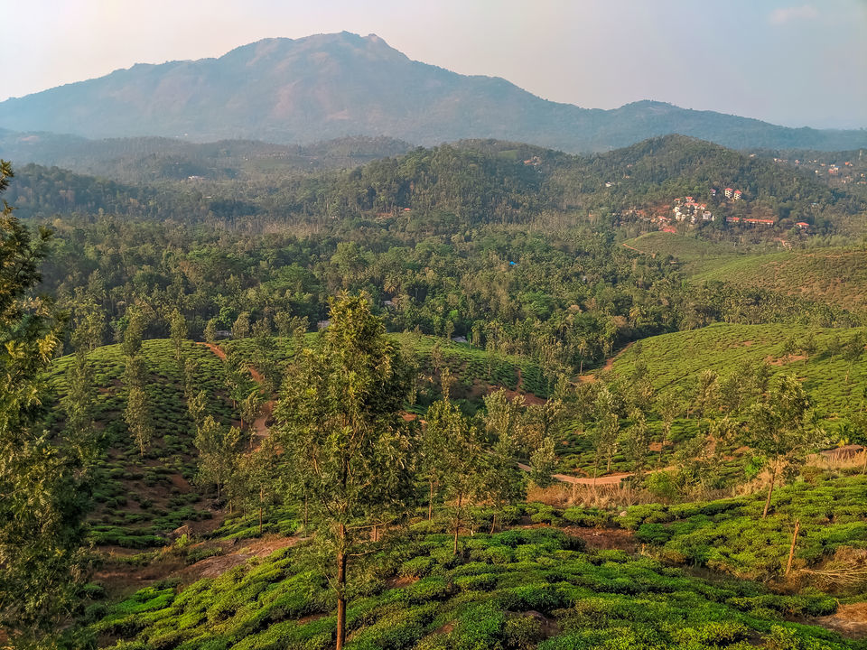 Photo of Chembra and Hridhayathadakam - A Day Trek to the Highest Peak in Wayanad by Mouna Nanaiah