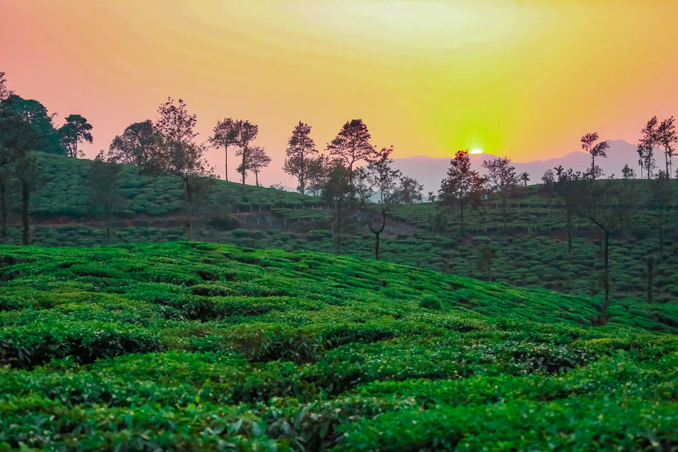 Photo of Chembra and Hridhayathadakam - A Day Trek to the Highest Peak in Wayanad by Mouna Nanaiah