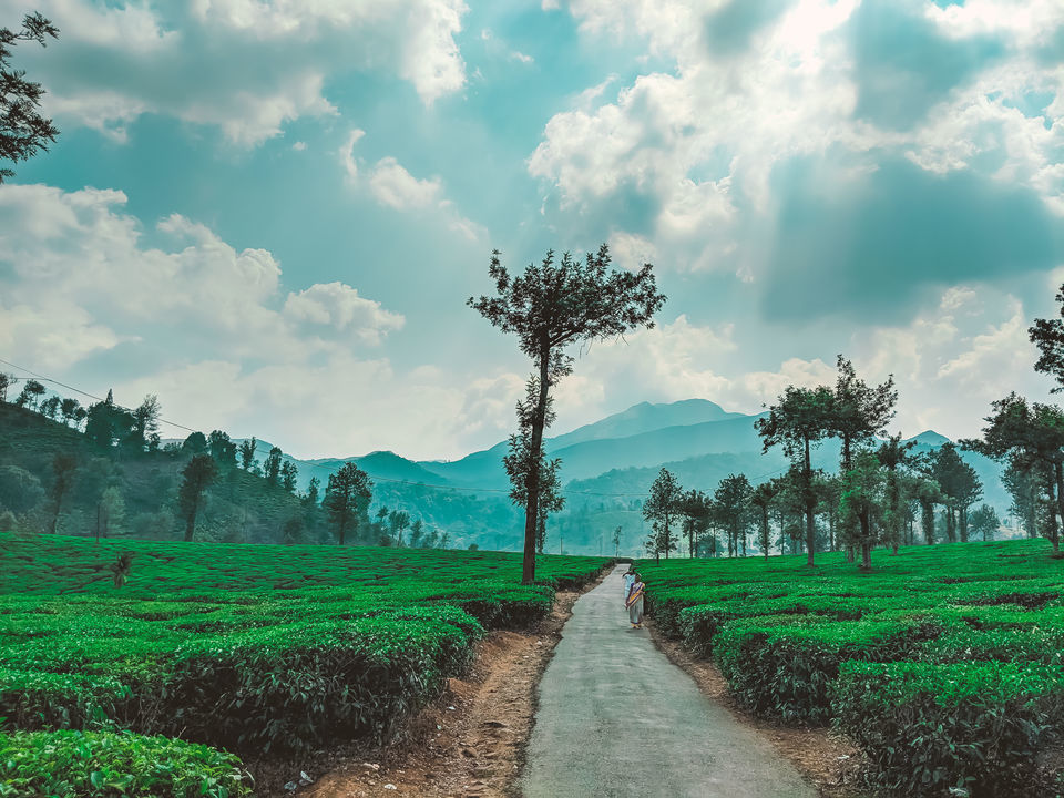Photo of Chembra and Hridhayathadakam - A Day Trek to the Highest Peak in Wayanad by Mouna Nanaiah