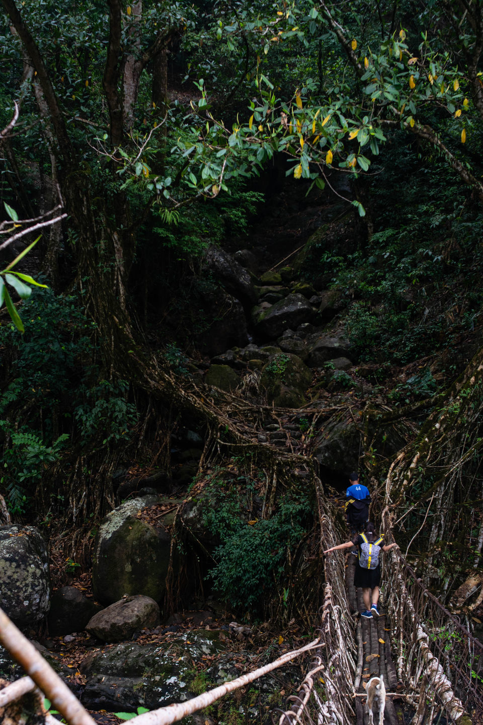Photo of Take a Break to See the Gorgeous Meghalaya Slide into Monsoon by Disha Kapkoti