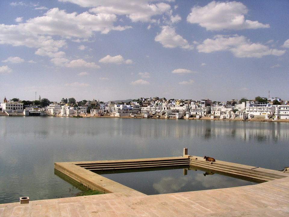 Photo of This luxury tent resort in Pushkar gives camping a luxurious twist! by Siddharth Sujan
