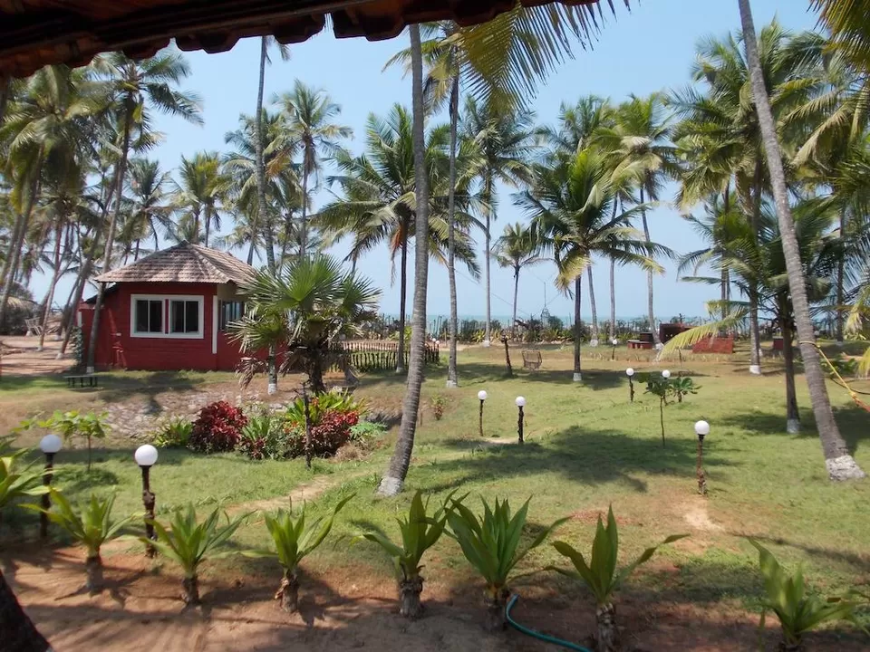 Photo of Akuna Matata, Udupi, Karnataka, India by Siddharth S