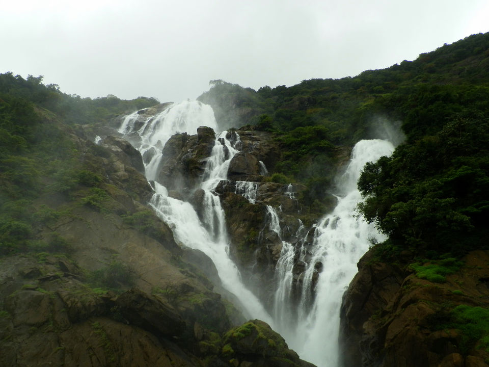 Photo of Your Goa Plans Will Get a Crazy Twist with This Kickass Wildlife Sanctuary Nobody Told You About! by Siddharth Sujan