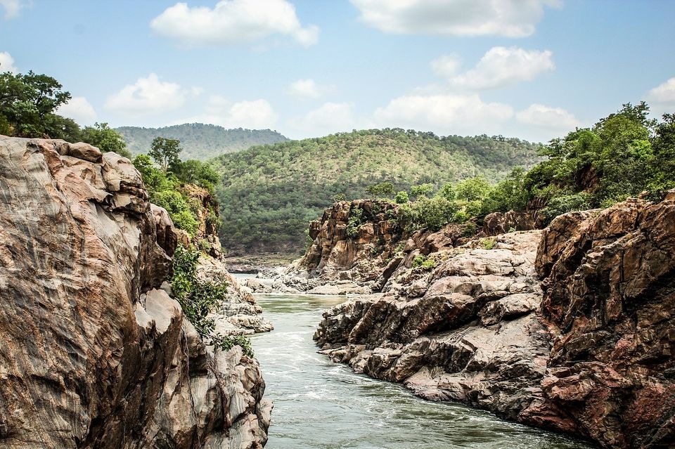 Photo of Your Goa Plans Will Get a Crazy Twist with This Kickass Wildlife Sanctuary Nobody Told You About! by Siddharth Sujan