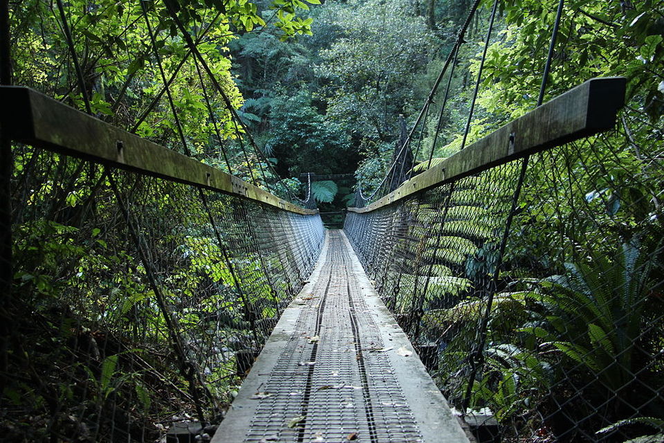 Photo of India Just Got Its First Canopy Walk And Here's Everything You Need To Know About It! by Siddharth Sujan