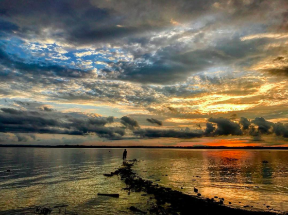 Photo of Maharana Pratap Sagar, Himachal Pradesh by Siddharth S