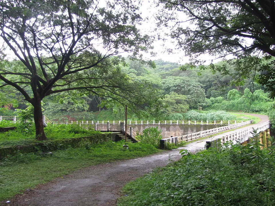 Photo of Chimmini Wildlife Sanctuary, Pariyaram, Kerala, India by Siddharth S