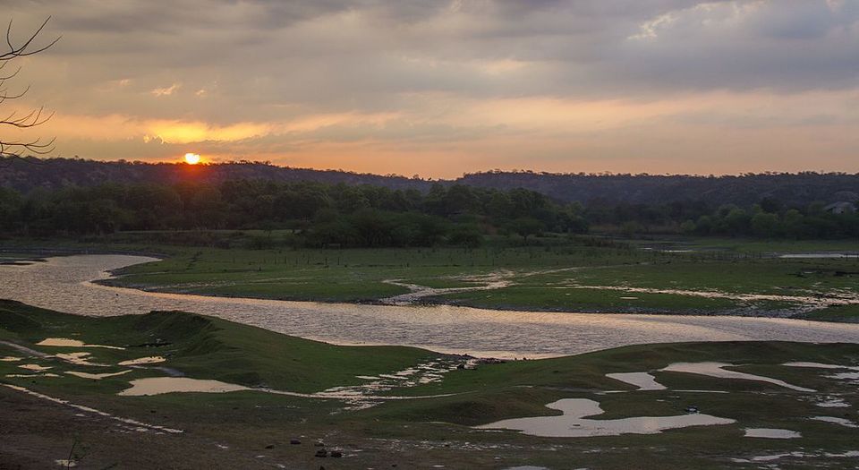 Photo of Head To This Farm Stay Near Gurgaon For Its Luxury Huts, Wine Brunches and Aww-dorable Pets! by Siddharth Sujan
