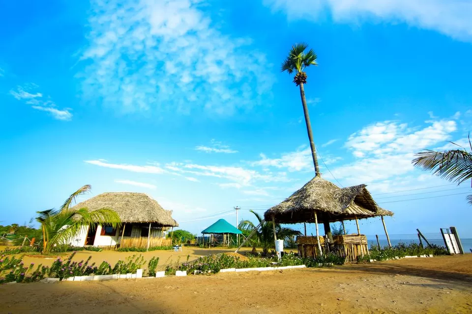 Photo of Cabana Coral Reef, Rameswaram, Tamil Nadu, India by Siddharth S