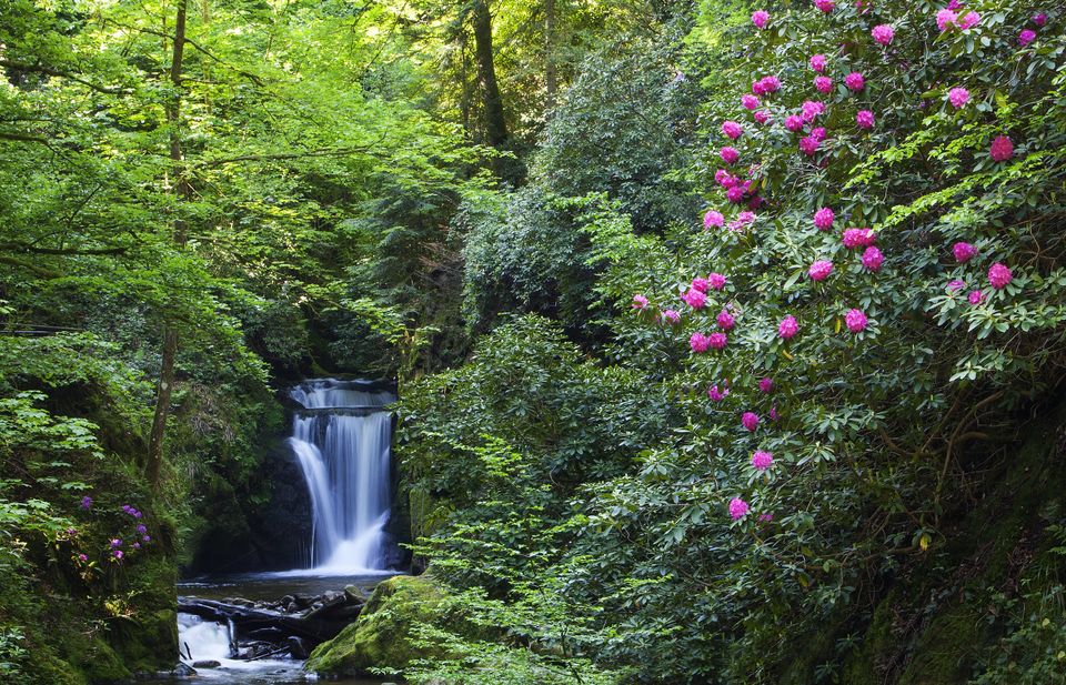 Photo of 18 Reasons Why You Must Visit Germany's Premier Spa Town, Baden-Baden by Siddharth Sujan