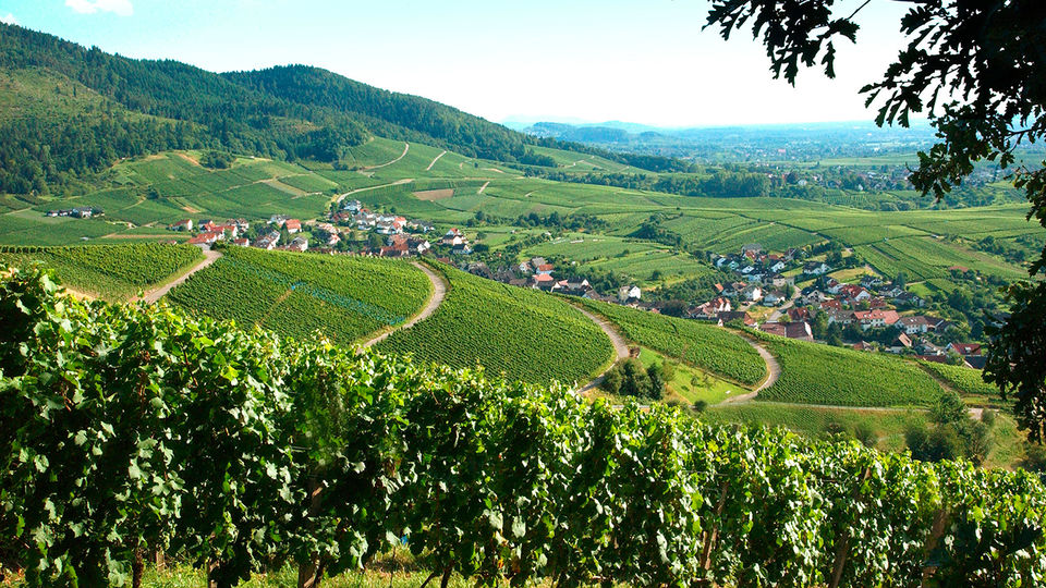 Photo of 18 Reasons Why You Must Visit Germany's Premier Spa Town, Baden-Baden by Siddharth Sujan