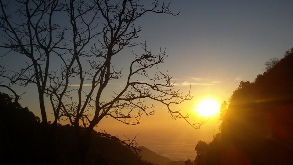 Photo of This Eco-Friendly Property in Kasauli Deserves To Be Your Home Away From Home This Summer by Siddharth Sujan