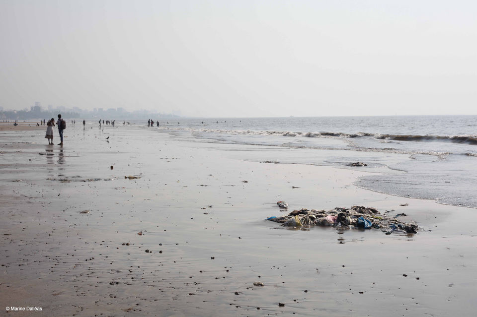 Photo of Corona Is Cleaning Up Mumbai's Juhu Beach This World Environment Day And Here's How You Can Sign Up 2/3 by Siddharth Sujan