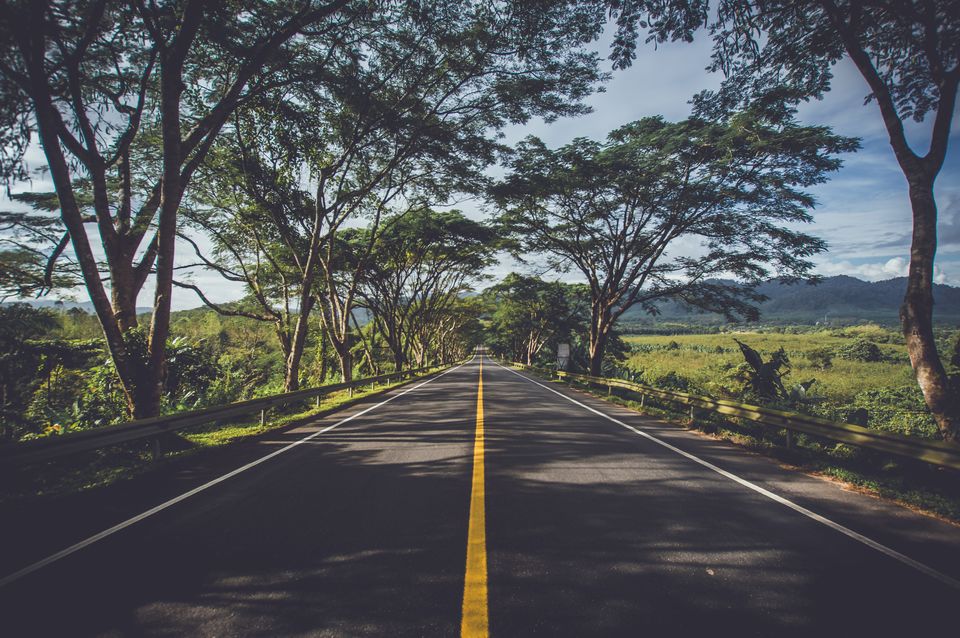 Photo of Two Boys, One Car And A Wild Road Trip Chasing Tigers 1/1 by Siddharth Sujan
