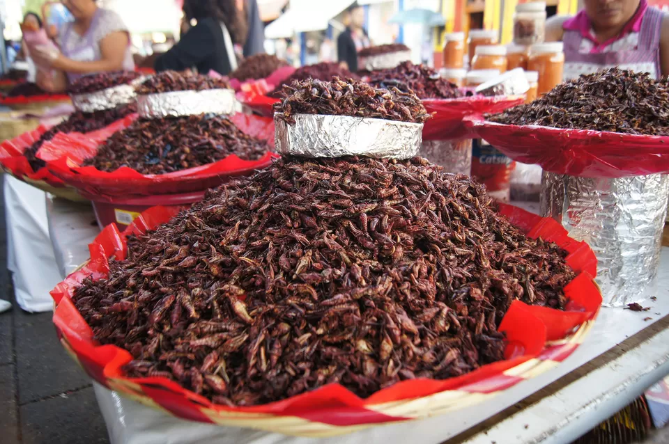 Photo of Oaxaca, Mexico by Siddharth S