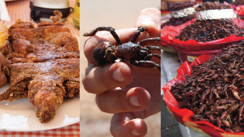 Photo of The Ultimate List of World's Most Extreme Foods and Where to Find Them by Siddharth Sujan