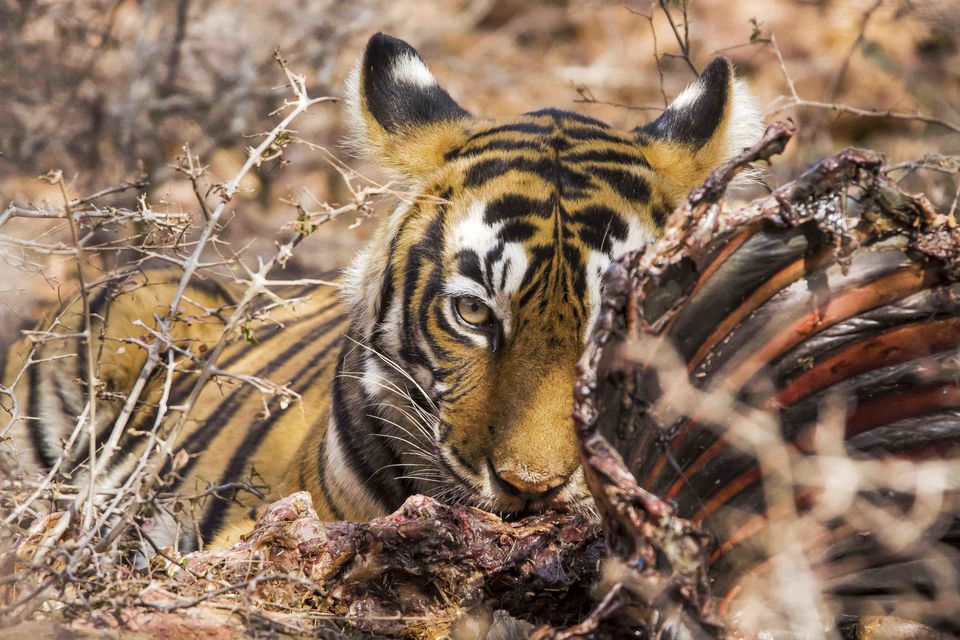 Photo of This Upcoming Photography Exhibition Is The Best Way To Celebrate World Photography Day by Siddharth Sujan
