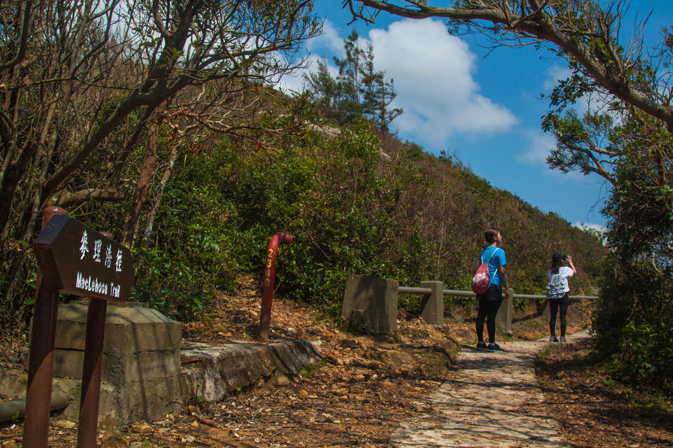 Photo of 5 Adrenaline Pumping Experiences You Can Only Have In Hong Kong 2/4 by Siddharth Sujan