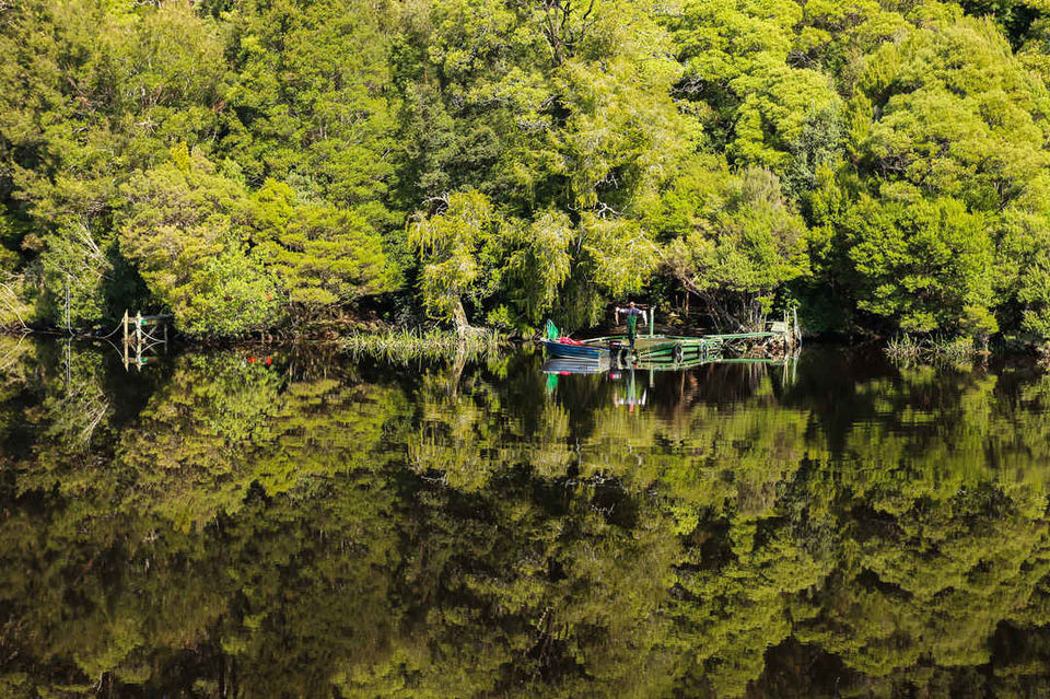 Photo of How I Fell In Love With Road Trips In Tasmania – The Hidden Australian Gem 1/4 by Rishad Saam Mehta