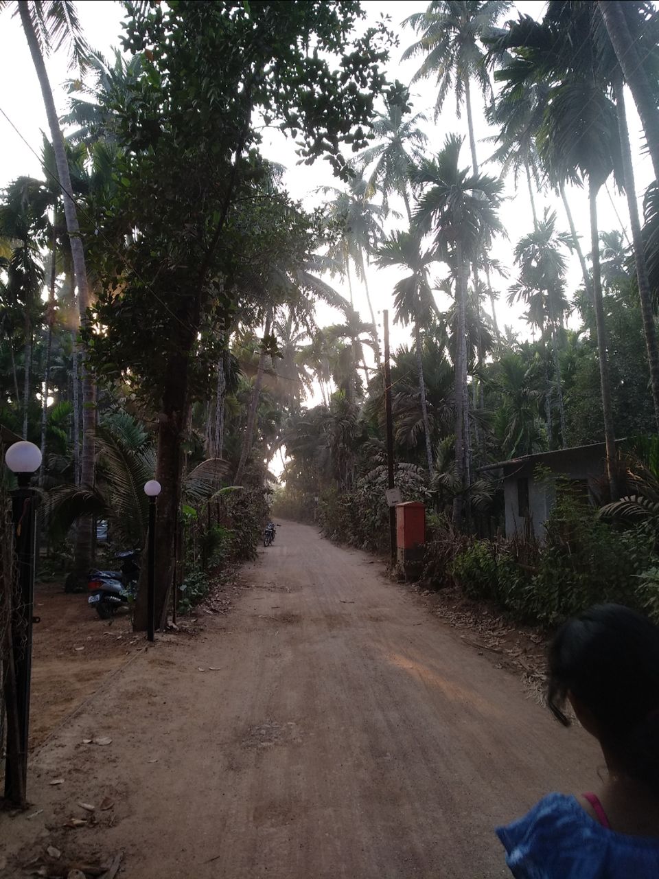 Photo of Diveagar Beach, Maharashtra by Er Aakash Chakraborty