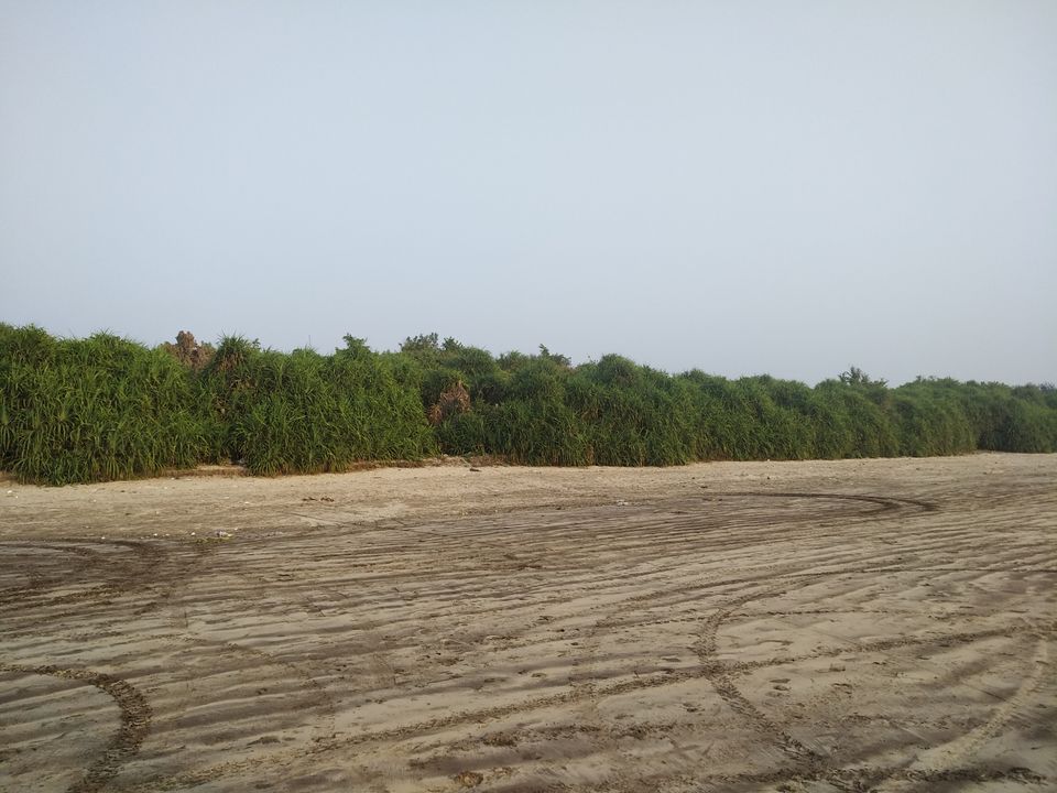 Photo of Diveagar Beach, Maharashtra by Er Aakash Chakraborty